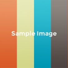 sampleimage-460×230