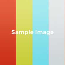 sampleimage-940×470-2